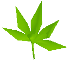 Dragon Tree Leaf - King's Field