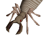 Queen Termite - King's Field II