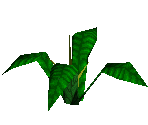 Earth Herb - King's Field II