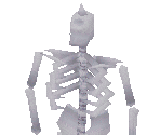 The Skeleton of the Giant - King's Field III