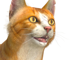 Stray Cat - Indigo Park (Chapter 1)