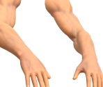 Player's Arms (First-Person) - Indigo Park (Chapter 1)