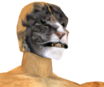 Khajiit - The Elder Scrolls III: Morrowind