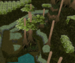The Swamps of Naboo - Star Wars Episode I: The Phantom Menace