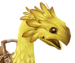 Chocobo - Dragon Quest X