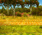 Yellow Brick Road - The Wizard of Oz: Beyond the Yellow Brick Road
