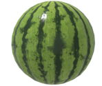 Watermelon - Wii Sports Club