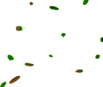 Gusty Garden Asteroids - Super Mario Galaxy
