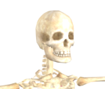 X-Ray - Tony Hawk's Pro Skater 3