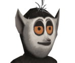 Julien - Madagascar