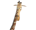 Melman - Madagascar