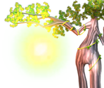 Goal Tree - Donkey Kong Jungle Beat