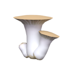 Starting Mushroom - Donkey Kong Jungle Beat