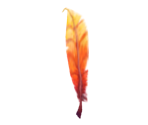 Orange Feather - Tak 2: The Staff of Dreams