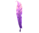 Purple Feather - Tak 2: The Staff of Dreams