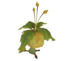 Stinkweed - Tak: The Great Juju Challenge
