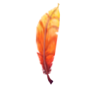 Orange Feather - Tak: The Great Juju Challenge