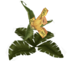 Nubu Plant (Item) - Tak & the Power of Juju