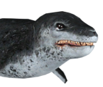 Leopard Seal - Happy Feet