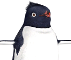 Nestor - Happy Feet