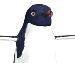 Raul - Happy Feet