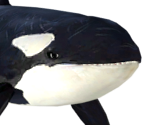 Orca - Happy Feet