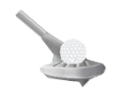 Save Icon (2001) - Tiger Woods PGA Tour Series