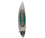 Save Icon - Kelly Slater's Pro Surfer