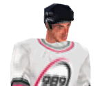 Save Icon (2003) - NHL FaceOff 2001 / 2003