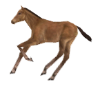 Save Icon (4 Maximum) - Winning Post Series (JPN)