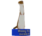 Save Icon (6 Maximum 2004) - Winning Post Series (JPN)