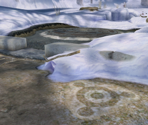Valley of Repose - Pikmin 2