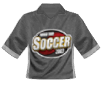 Save Icon (2003) - World Tour Soccer / This is Football Series
