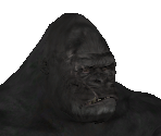 King Kong - Peter Jackson's King Kong: The Official Game of the Movie