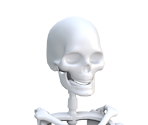 Player Skeleton (Female) - Tower of Fantasy