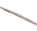 Flute - Wii Music