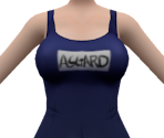 Standard Alliance Swimsuit - Master of Eternity