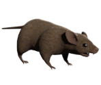 Rat - Little Nightmares