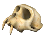 Colossal Fossil - Pikmin 2