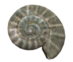 Olimarnite Shell - Pikmin 2