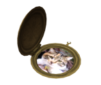 Time Capsule - Pikmin 2