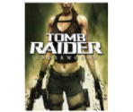 Save Icon - Tomb Raider: Underworld