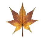Brown Maple Leaf - Pikmin 2
