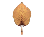 Dead Leaf - Pikmin 2