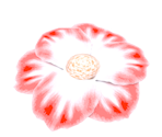 Flower - Pikmin 2