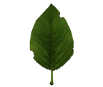 Green Leaf - Pikmin 2