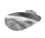Silver Can Lid - Pikmin 2