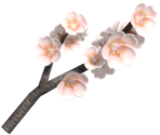 015 Yoshino Cherry Branch - Miitopia