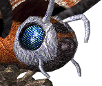 Mothra - Godzilla Unleashed