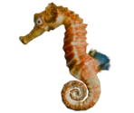 Seahorse - LittleBigPlanet 3 (Prototypes)